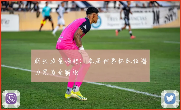 新兴力量崛起：本届世界杯队伍潜力黑马全解读