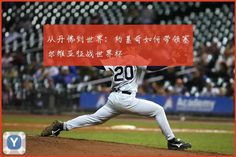 从丹佛到世界：约基奇如何带领塞尔维亚征战世界杯