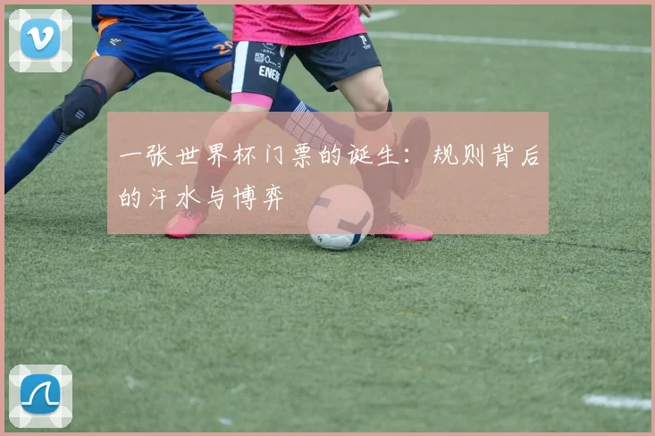 一张世界杯门票的诞生:规则背后的汗水与博弈