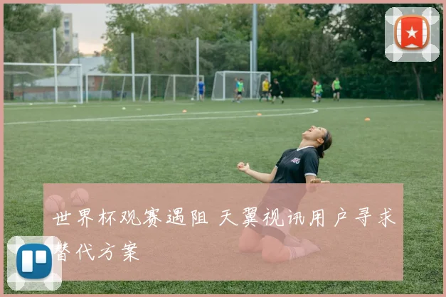 世界杯观赛遇阻 天翼视讯用户寻求替代方案