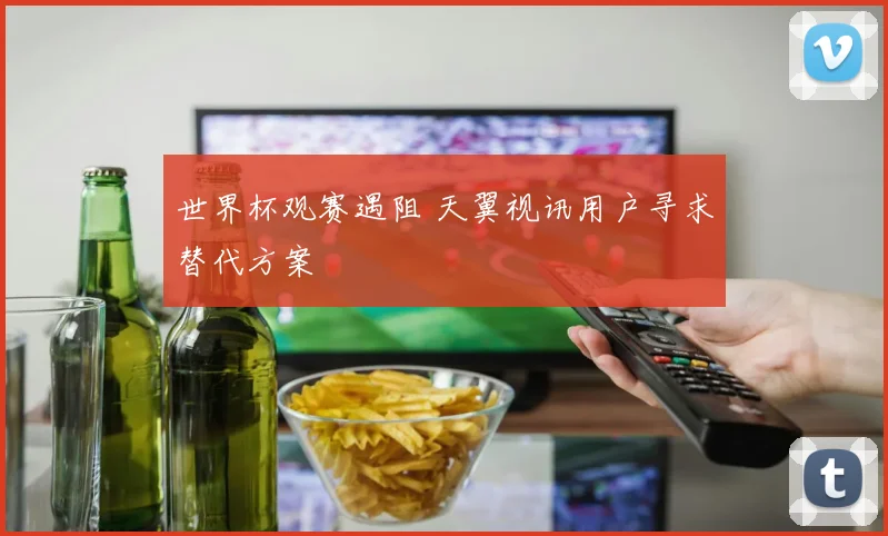 世界杯观赛遇阻 天翼视讯用户寻求替代方案