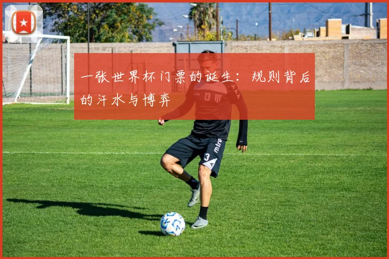一张世界杯门票的诞生:规则背后的汗水与博弈