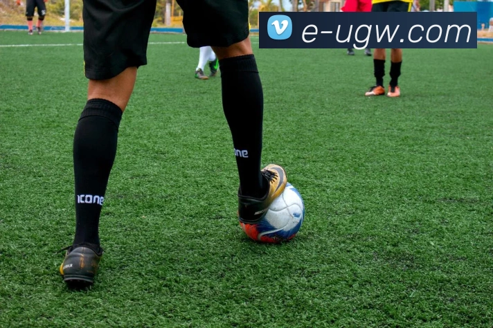 必动体育官网APP 高清赛事图